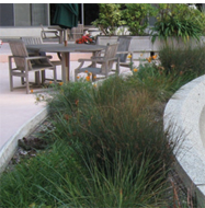 Sustainable Landscape Case Study 